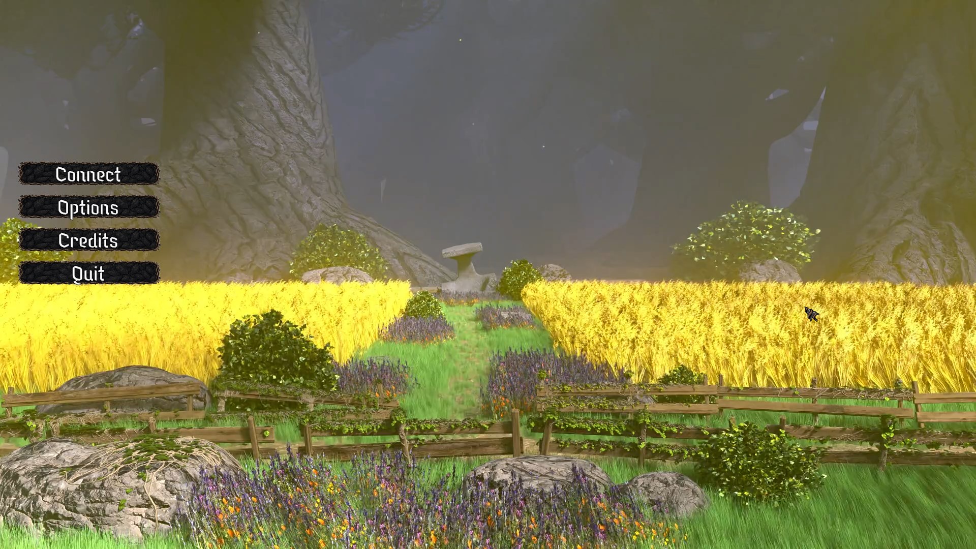 Novis_1